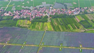 空中看泰和 光伏繪畫卷 空中看泰和 光伏繪畫卷