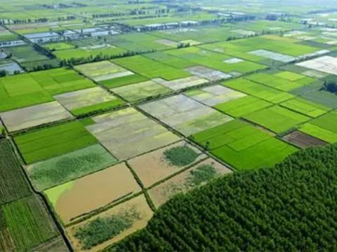 四川發展，高標準農田建設，標準到底有多高？你的家鄉在改造嗎？