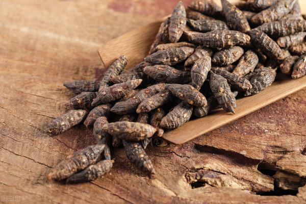 身痛逐瘀湯——專治頸椎病,還可改善肩痛、臂痛、腰腿痛哦 身痛逐瘀湯——專治頸椎病,還可改善肩痛、臂痛、腰腿痛哦