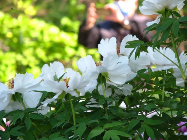 國學成語故事（4）抬頭看天第一人，列入國家非遺之杞人憂天