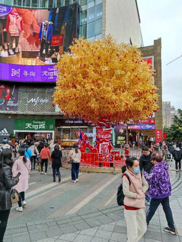 大年初三，你感覺到這裡春暖花開了嗎？