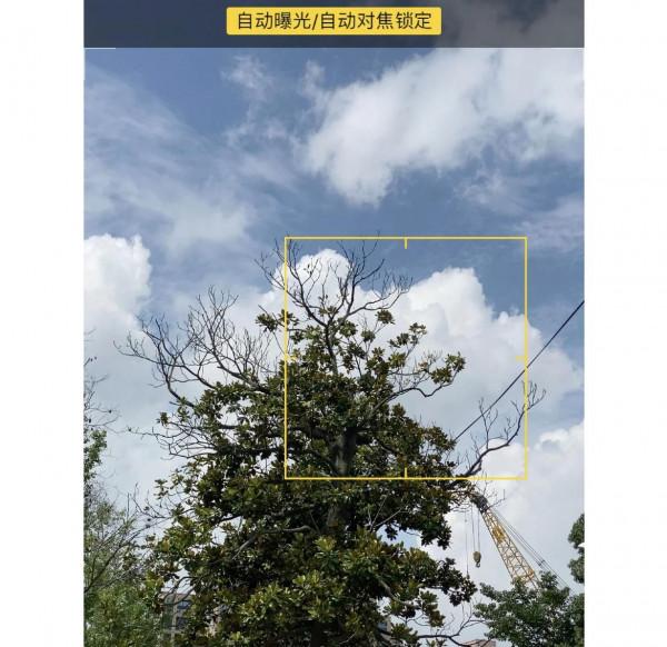 iPhone手機不會用等於白買！這5個隱藏冷知識，小技巧但有大用處