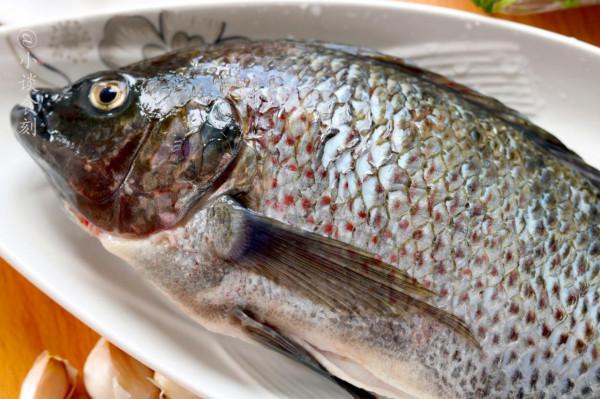 “廉價魚”羅非，為啥在雲南成了搶手貨？原因無非這4點，很真實