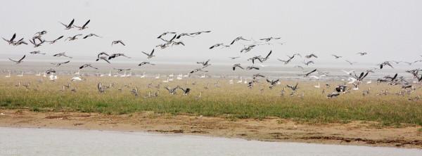 有關江西省的二十四個冷知識，看完才知道原來江西有這麼多稱號