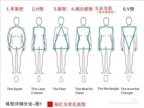 瞭解自己的身型