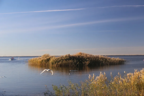 秋分來了,一粥一湯順時養生 秋分來了,一粥一湯順時養生