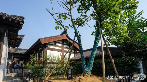 西楚霸王出生地，除了楚韻漢風的宮殿建築，還有2000多年的古槐樹