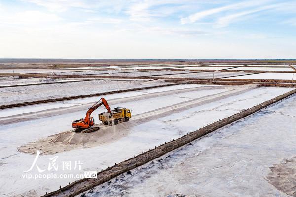內蒙古鄂爾多斯：古鹽湖扮靚高原