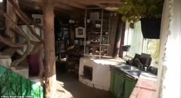 加拿大夫婦逃離城市到鄉下蓋房生娃,生活清苦但也過得美滋滋 加拿大夫婦逃離城市到鄉下蓋房生娃,生活清苦但也過得美滋滋