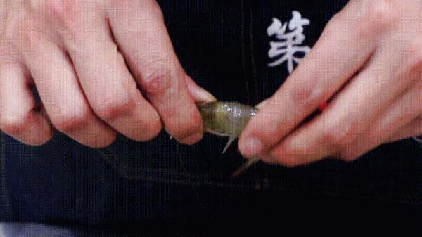 白灼蝦不只是水煮那麼簡單，掌握這個技巧，清香鮮嫩，原汁原味