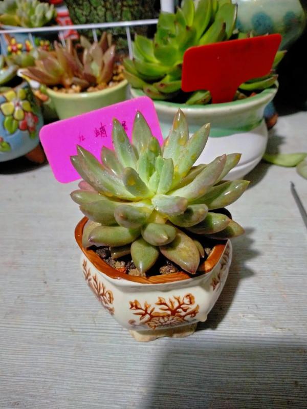 這天氣變的真快