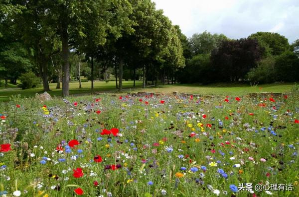 單純可愛，這三個星座就像長不大的孩子，讓你又愛又恨