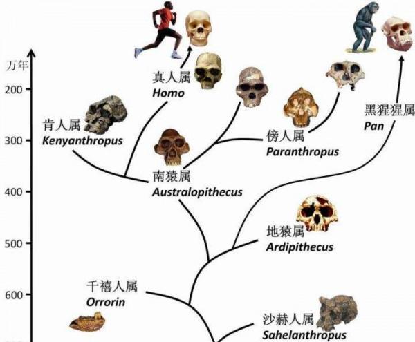 人類的歷史是吃人的歷史(1)