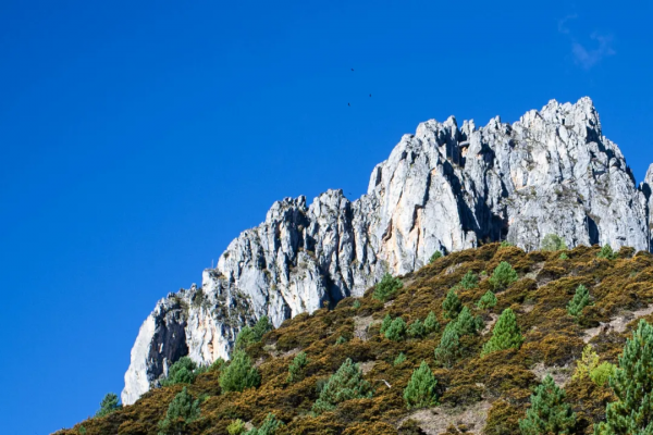 川西環線之旅 - 逃離稻城 川西環線之旅 - 逃離稻城