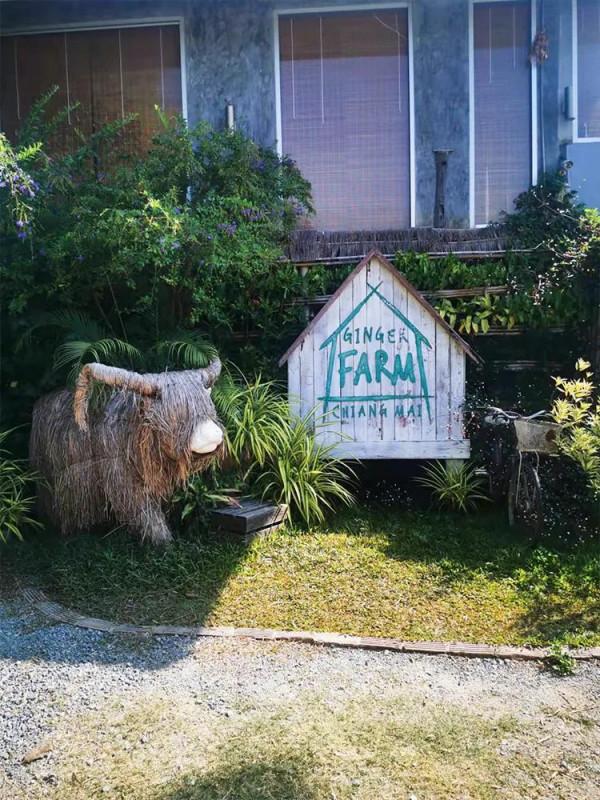 清邁日常｜親近大自然的美好時光