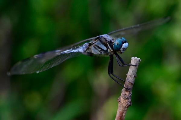 2021年即將過去，盤點那些給人快樂的數碼產品，有些真的不貴