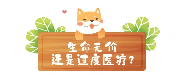 一隻小狗的委屈:我被大狗咬了,2000元的我不配有15000元的治療費?結局反轉…… 一隻小狗的委屈:我被大狗咬了,2000元的我不配有15000元的治療費?結局反轉……