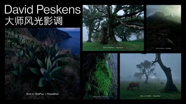 一加10pro售價4699起大家心動了嗎？