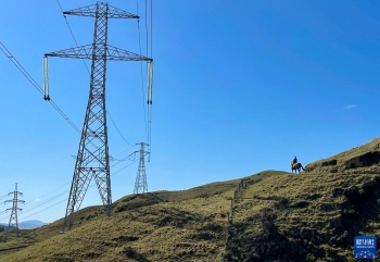紐西蘭“封城”的日子「圖」 紐西蘭“封城”的日子「圖」