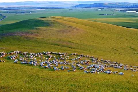 人類“終極”狂野聖地 人類“終極”狂野聖地