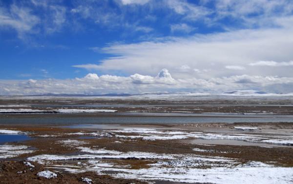 可可西里為啥不允許隨意進入？帶你深度瞭解這一“人類禁區”