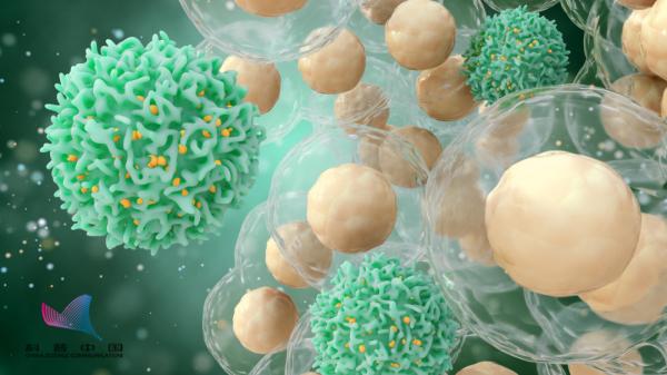 年年體檢，為什麼發現癌症時還是晚期？其中的原因值得深思