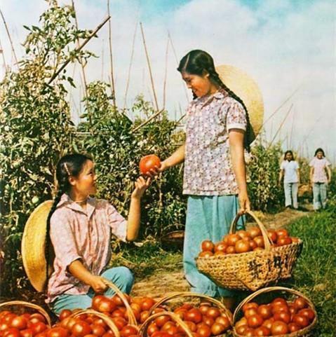 當年用高壓鍋燙頭的拉薩青年,也是明白“頭等大事”的 當年用高壓鍋燙頭的拉薩青年,也是明白“頭等大事”的