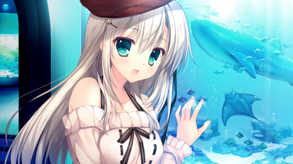 不爭不搶的佛系星座，看得通透活得明白，堪稱人間清醒