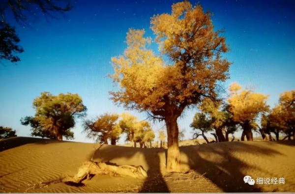 面臨挫折和失敗時，不妨對自己說上一句：為什麼不再試一次呢？