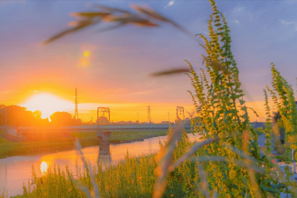 明爭暗鬥全都擅長的星座，情商智商都線上，很少出手但實力非凡