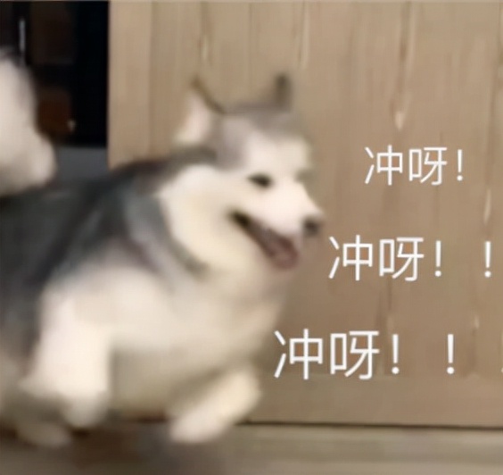 12月新機“亂鬥”,小米、酷派、榮耀齊上陣,哪款機型是你的菜? 12月新機“亂鬥”,小米、酷派、榮耀齊上陣,哪款機型是你的菜?