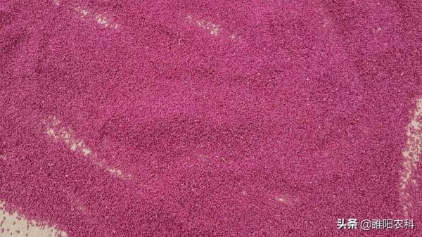 吡蟲啉這5個“黃金配方”,能解決地上地下大多數害蟲的防治難題 吡蟲啉這5個“黃金配方”,能解決地上地下大多數害蟲的防治難題