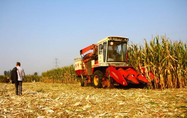 天氣預報：今天秋分，下雨好還是晴天好？3句農諺給出了答案