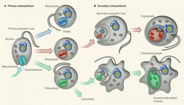 一口氣看完46億年地球史,原來人類如此渺小 一口氣看完46億年地球史,原來人類如此渺小