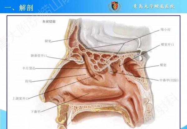 頭頸五官CT斷層解剖圖及常見病影像診斷