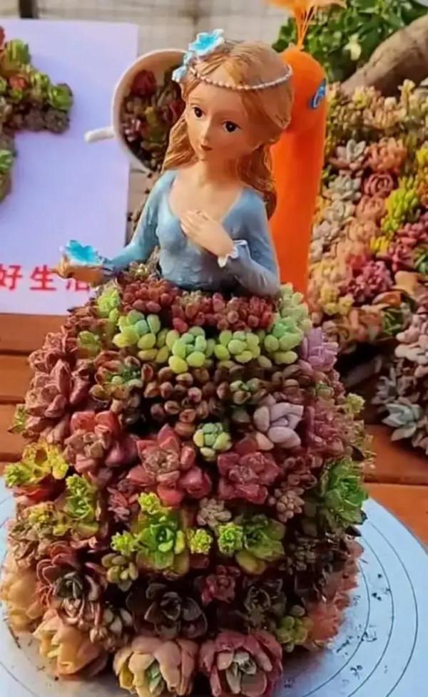 分享圖片，可愛的多肉們，收藏了