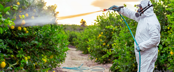 輕鬆搞定蔬果農殘檢測 - 華碩PureGo蔬果洗滌偵測器