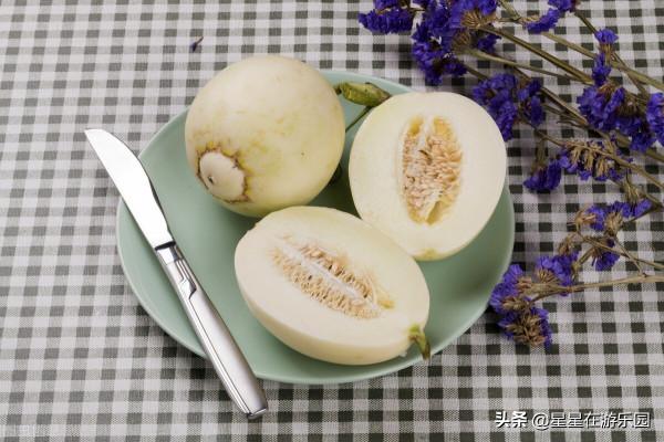 聊齋故事:蠍子王 聊齋故事:蠍子王