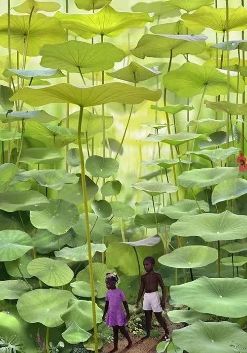 人間仙境美極了