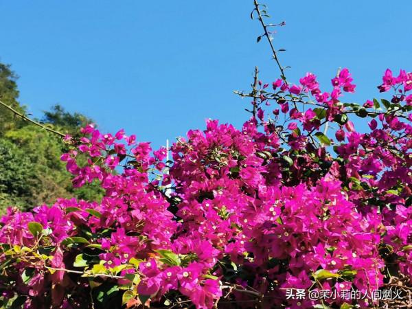 塘朗山&plus;深雲谷，我一天連爬這兩座山，也是沒誰了
