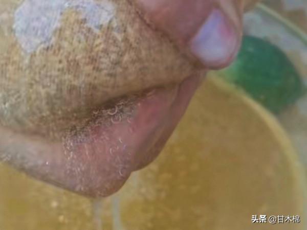 以下這些植物竟然是製作涼粉的原料?快來看看你認識多少種 以下這些植物竟然是製作涼粉的原料?快來看看你認識多少種