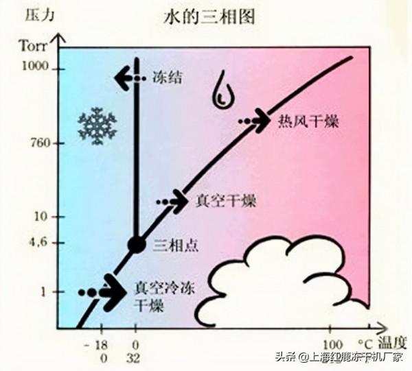 牛初乳凍幹奶粉與普通奶粉區別