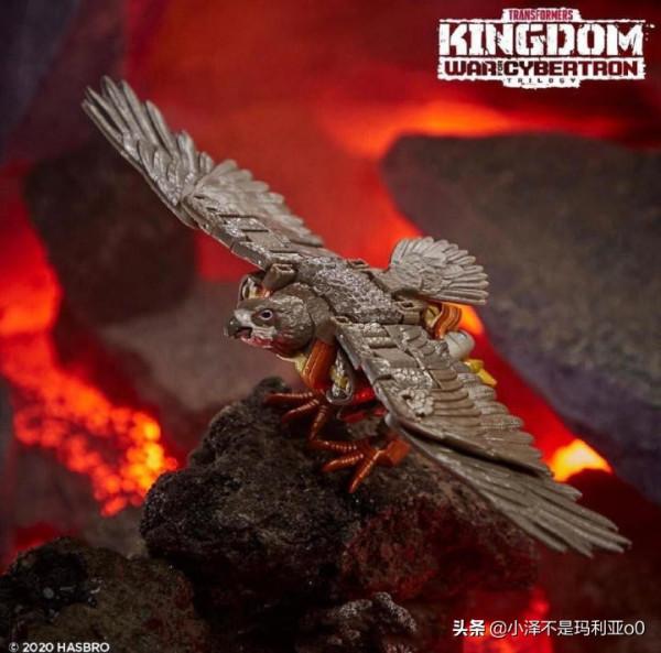 變形金剛《王國》系列紅黑榜大盤點！哪些值得買看完你就知道了