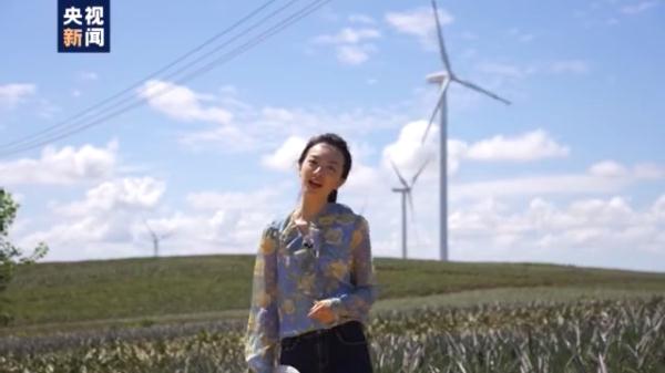 愛吃菠蘿的你不要錯過！打卡中國大陸最南端：“大陸之角”有片“菠蘿的海”