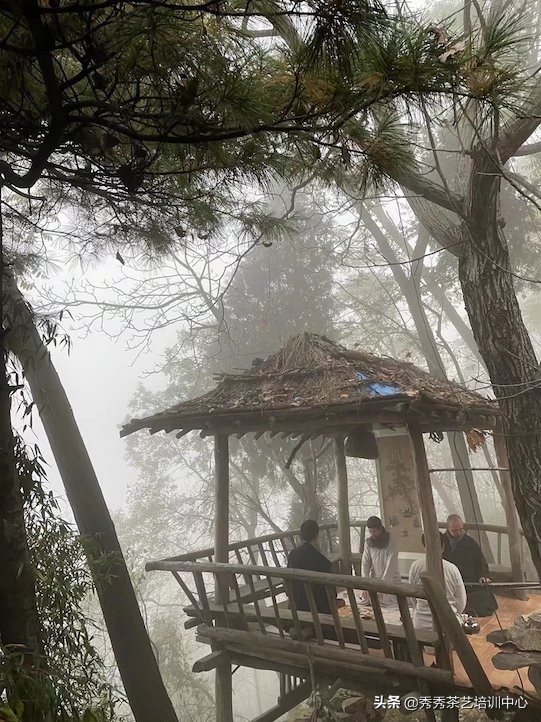 終南隱士精通琴棋書畫，長安雅士擅長詩詞歌賦