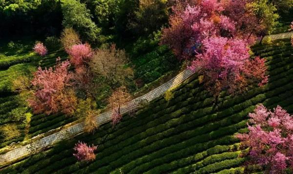 適合兩個人的旅行清單,這18個浪漫之地,有空了就帶ta去走走吧 適合兩個人的旅行清單,這18個浪漫之地,有空了就帶ta去走走吧