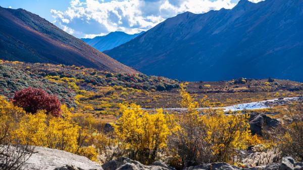 川西海拔最高最大最藍的海子——亞莫措根