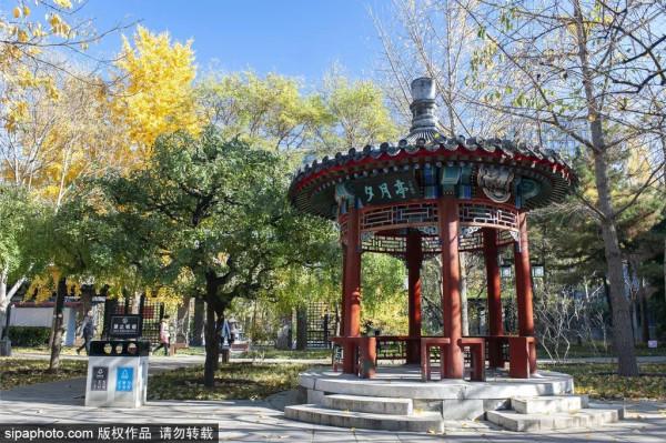 足足20家！北京最美秋色都在這裡了！不用人擠人！