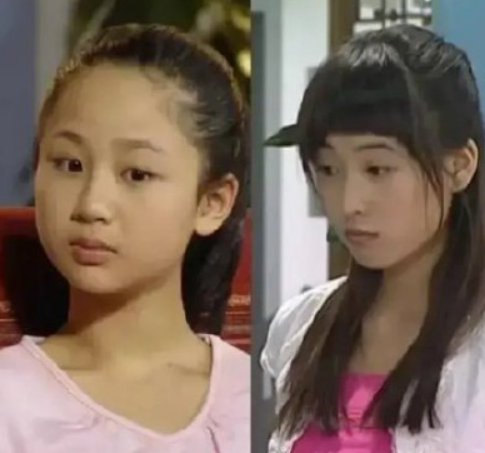 取代楊紫參演《家有兒女》，寧丹琳如何“自毀”前程的