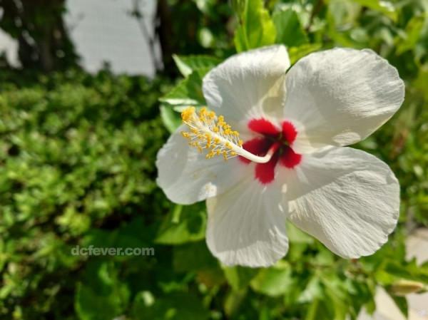 黑卡系列也出手機?索尼Xperia Pro-I上手與實拍 黑卡系列也出手機?索尼Xperia Pro-I上手與實拍